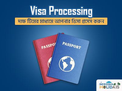 Visa Processing